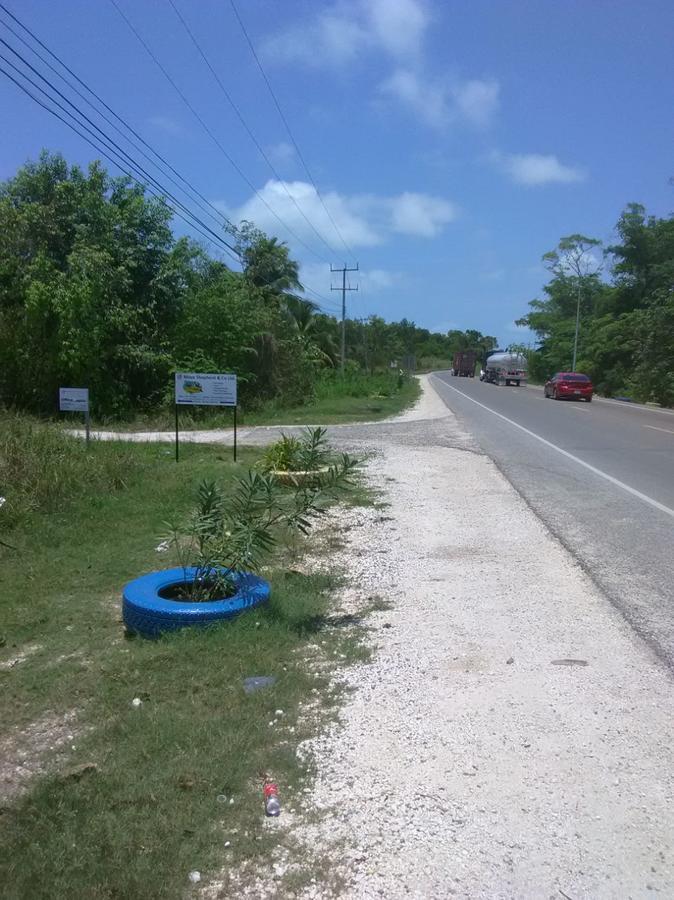 Tranquil Sea View Studio W Infinity Pool Near Airport & Downtown Belize City Luaran gambar